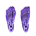 Aesthetic_functional-foot-surgery-1080
